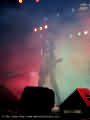 W.A.S.P.
