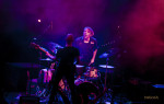 Guano Apes