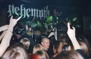 Behemoth  
