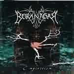 Borknagar: "Empiricism" – 2001