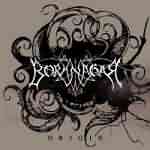 Borknagar: "Origin" – 2006