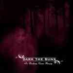 Dark The Suns: "In Darkness Comes Beauty" – 2007