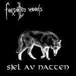 Forgotten Woods: "Sjel Av Natten" – 1995