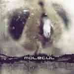 Molecul: " Net" – 2008