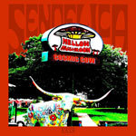 Sendelica: "The Mellow Mushroom Cosmic Cow" – 2010