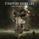 STRAPPING YOUNG LAD - Love?