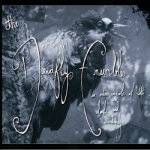The Deadfly Ensemble: "An Entire Wardrobe Of Doubt And Uncertainty" – 2008