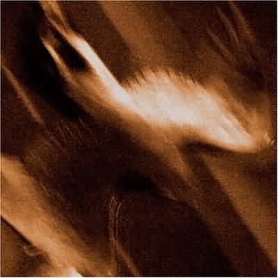 Agalloch: "Ashes Against The Grain" – 2006