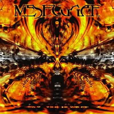 Meshuggah: "Nothing" – 2002