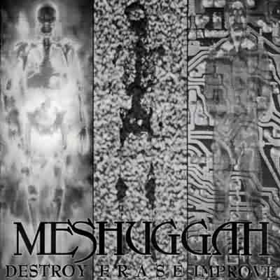 Meshuggah: "Destroy Erase Improve" – 1995