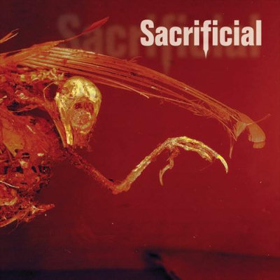 Sacrificial: "AutoHate" – 2002